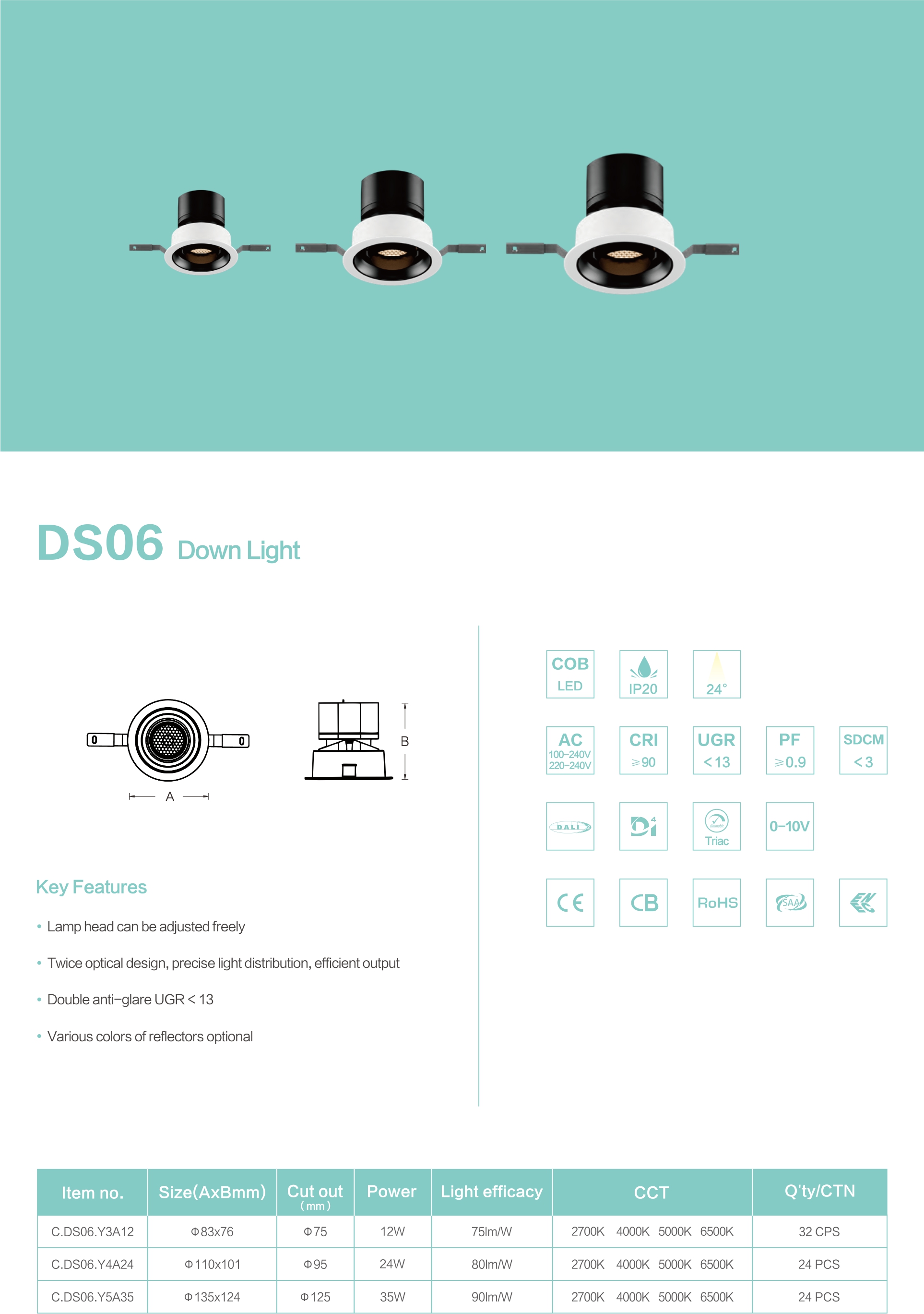 DS06-情